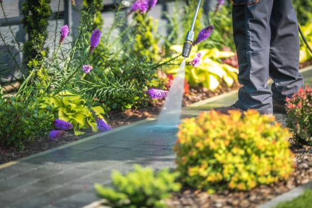 Best Parking Lot and Garage Cleaning  in Park River, ND