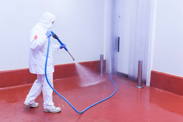 Best Winterizing Services  in Park River, ND
