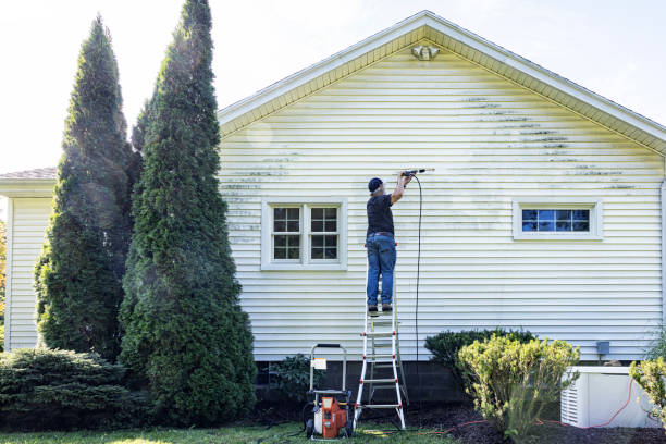 Best Building Exterior Washing  in Park River, ND